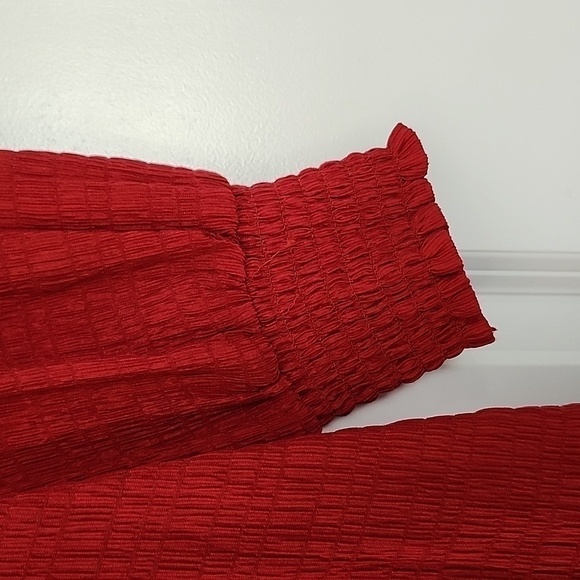 NWT BB DAKOTA BY STEVE MADDEN Burgundy Ruston Textured Shift Minidress S - Picture 8 of 16